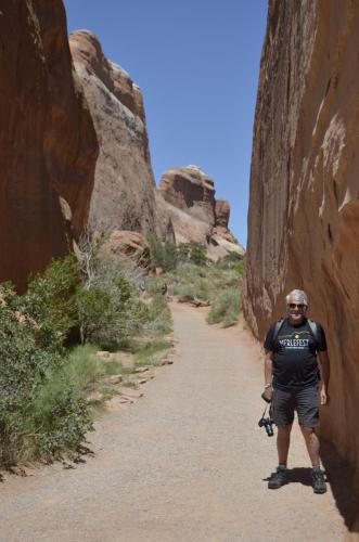 Woody at Arches NP